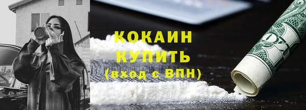 сатива Балахна