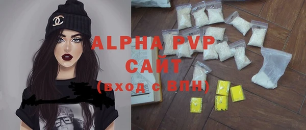 сатива Балахна