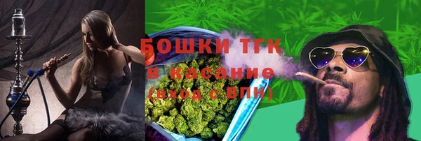 сатива Балахна