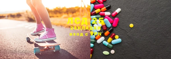 сатива Балахна