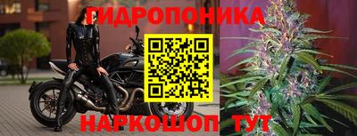 PSILOCYBIN Гусь-Хрустальный