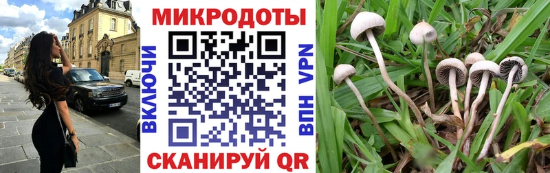 Галлюциногенные грибы прущие грибы  Ногинск 