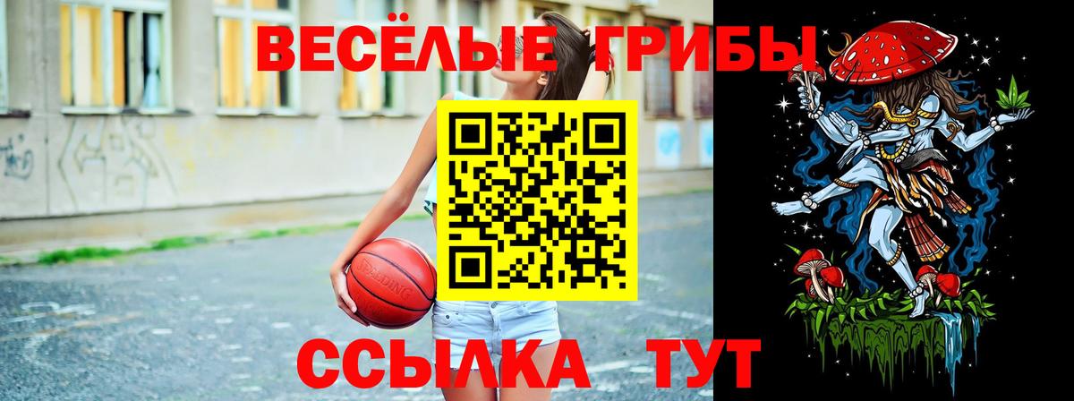 Галлюциногенные грибы ЛСД  Вход с VPN  купить наркотик  Галлюциногенные грибы Psilocybine cubensis  Ногинск 
